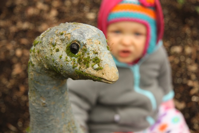 Moss Bird